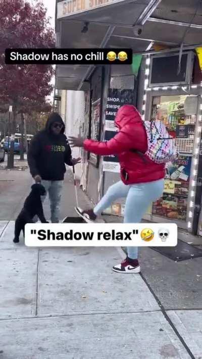 Shadow has it all