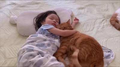 Napping with little hooman