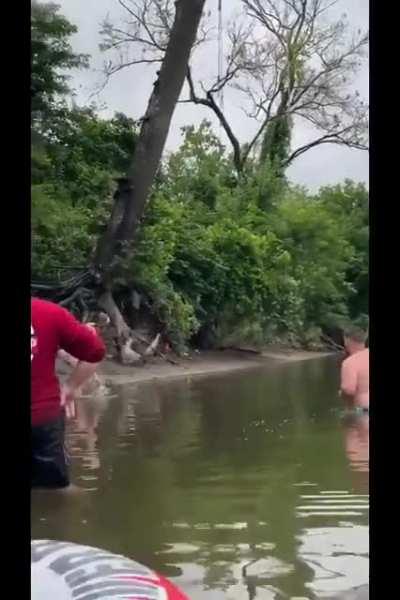 Swinging off a big ass tree