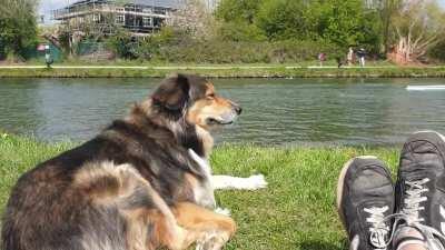 Sittin on the grass by the (walk)way, watching the boats roll away