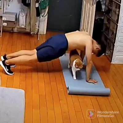 Workout with cat