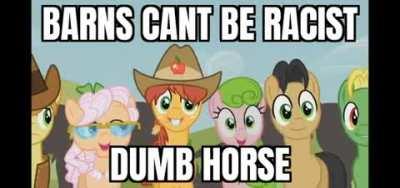 Stupid cowboy pony