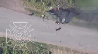 Russian Lancet drone hits a Ukrainian Kozak-7 Armoured vehicle in the Kursk Region - August 2024