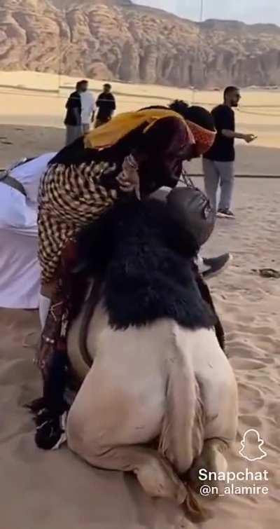 To ride a camel