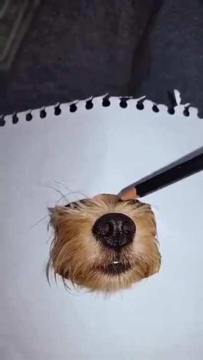 Painting a real dog