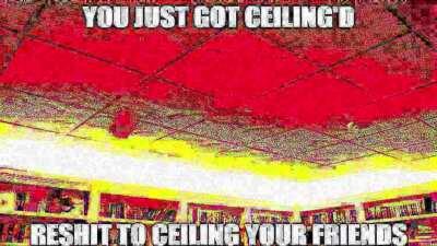 YOU JUST GOT CEILING'D