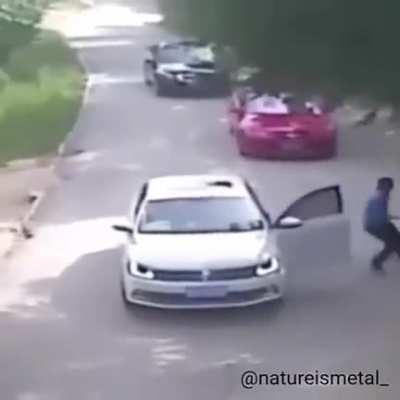 Woman Is Dragged Off By A Tiger