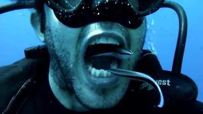 How a diver brush his teeth