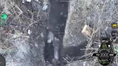 Ukrainian drone eliminates russians in a trench