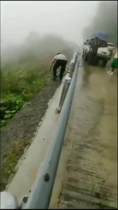 Guy prevents snakes from slithering onto road and being squished by cars