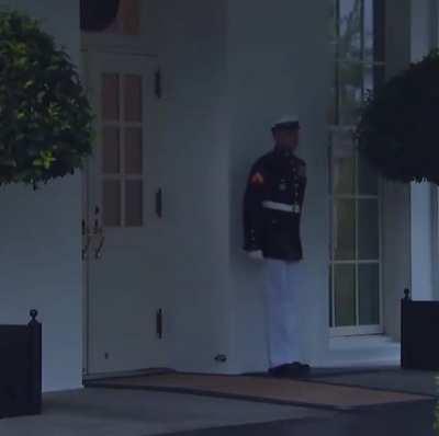 This Marine should have worn his brown pants. (Better with sound)