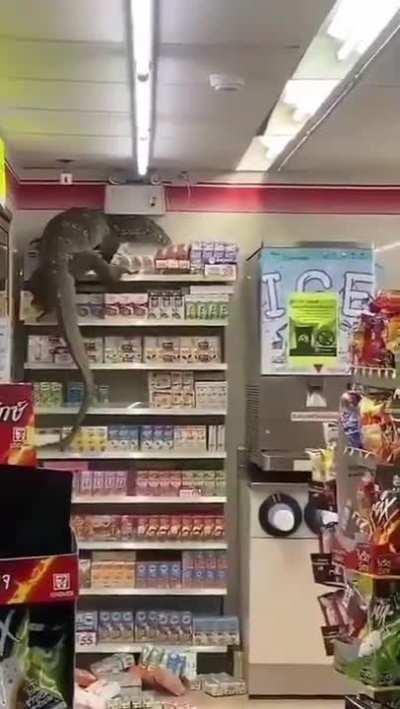 Imagine going to your local store and seeing this