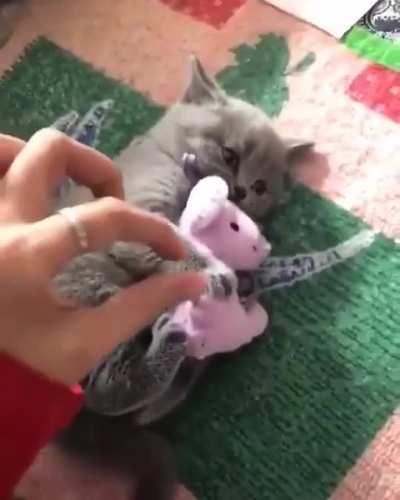 Don't Touch My Pinkie Toy