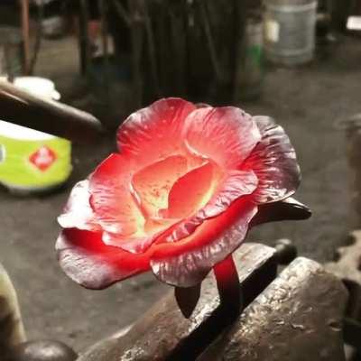 Caught a bit of glow on my friends new rose last night. He’s “the sculptor” of the group.