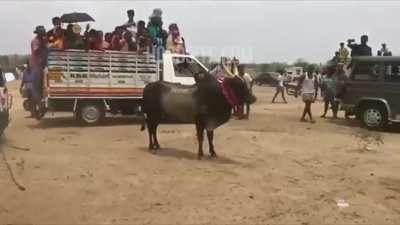 Man gets gored in the heart by bull