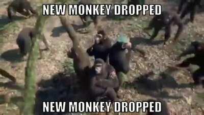 New monke has been released!