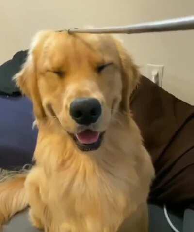 How to make a doggo smile