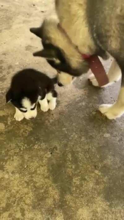 Aunt meets newborn niece