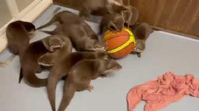 Otter ball