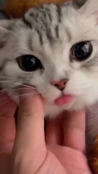 Blep