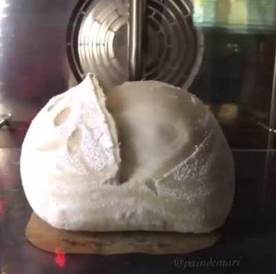 A loaf of bread baking in an oven