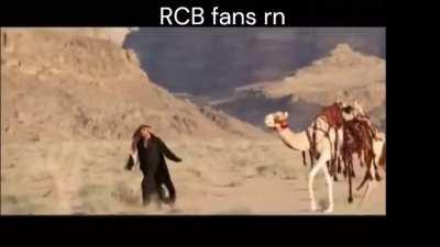 RCB fans anthem tonight