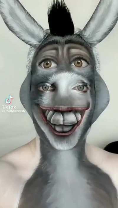 Perfect Donkey Makeup