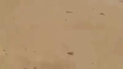 Iraqi attack helicopter chase and shreds an IS pickup that was carrying 7 combatants and trying to flee towards Syrian borders, the combatants are seen later scattered on the ground, 2017.