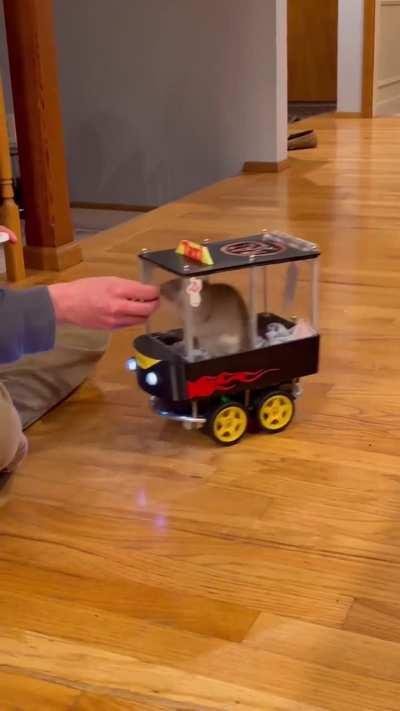 Human teaches rats to drive, better than drivers in LA.