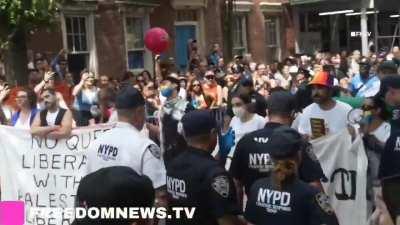 Protesters for Palestine blocked the Pride Parade route in NYC