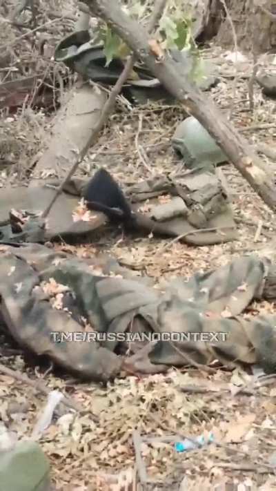 Russian Armed Forces servicemen inspect there landing strewn with the corpses of their comrades.