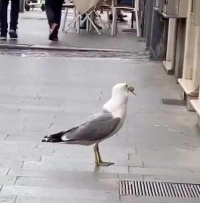 Quick snack before hitting the high seas