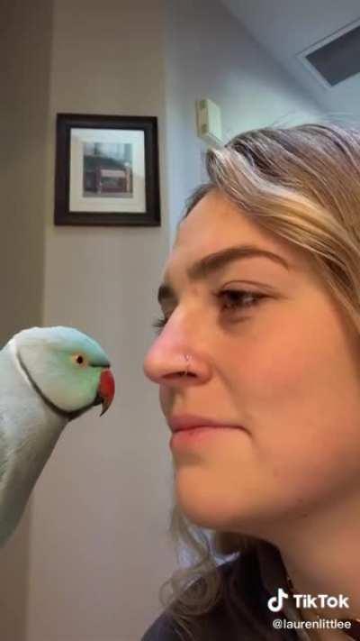 “Don’t say anything to your bird and see what he does”