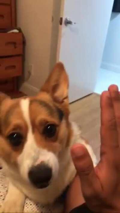 Winston likes high fives