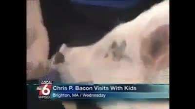 Reporter loses it over crispy bacon