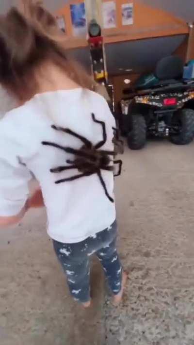 Girl and her two pet giant tarantulas