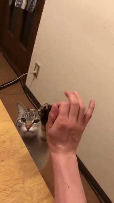 “High five little one”. *unmute*