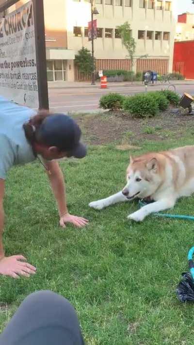 Why u so mad at ground hooman?