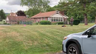 RC car drives thru a fence