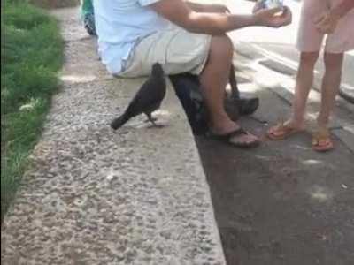 🔥 Raven asks for a drink