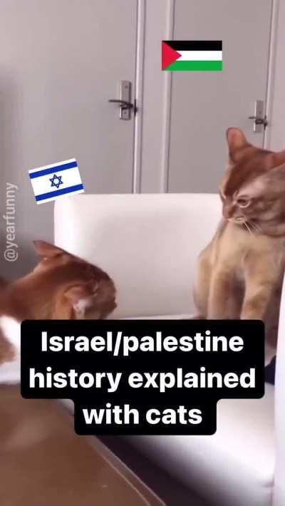 Palestine was asking for it xd