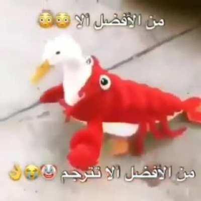 والدتك اللعينة