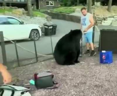 Man tells a bear he’s not invited and has to leave