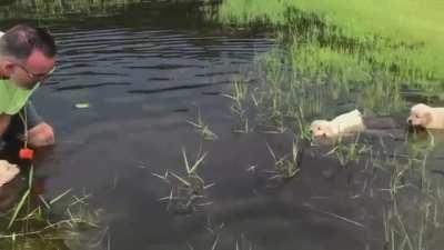 Swimming lesson