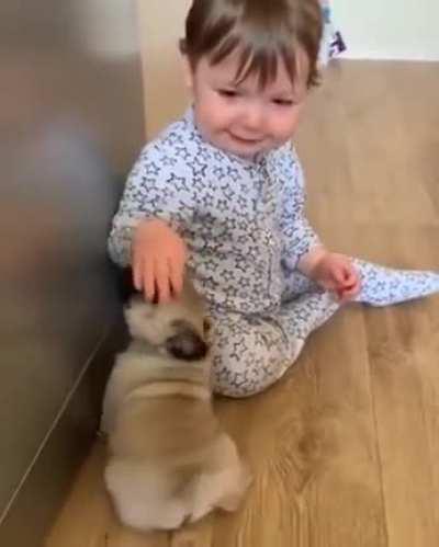 Kid enjoying with the puppies