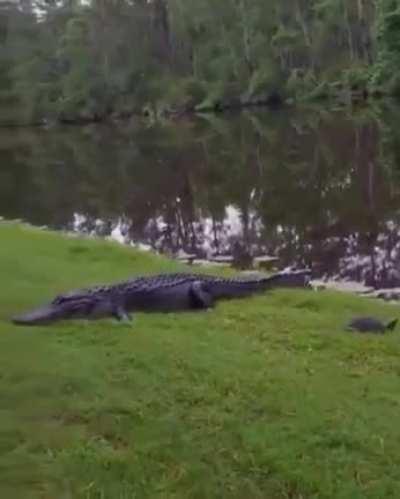 To have lunch