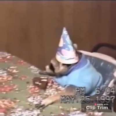 Rare footage of RaccoonEggs brithday