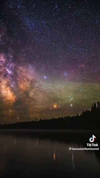 Someone left their camera out in a lake in the wilderness of Maine