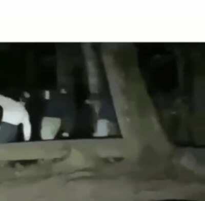 Dudes walking confidently through a forest at night