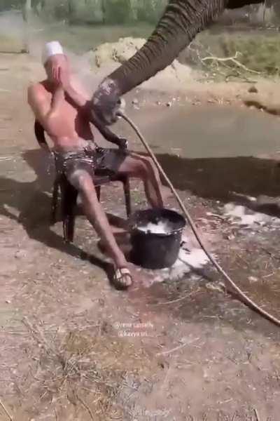 This man and elephant's bonding is simply amazing